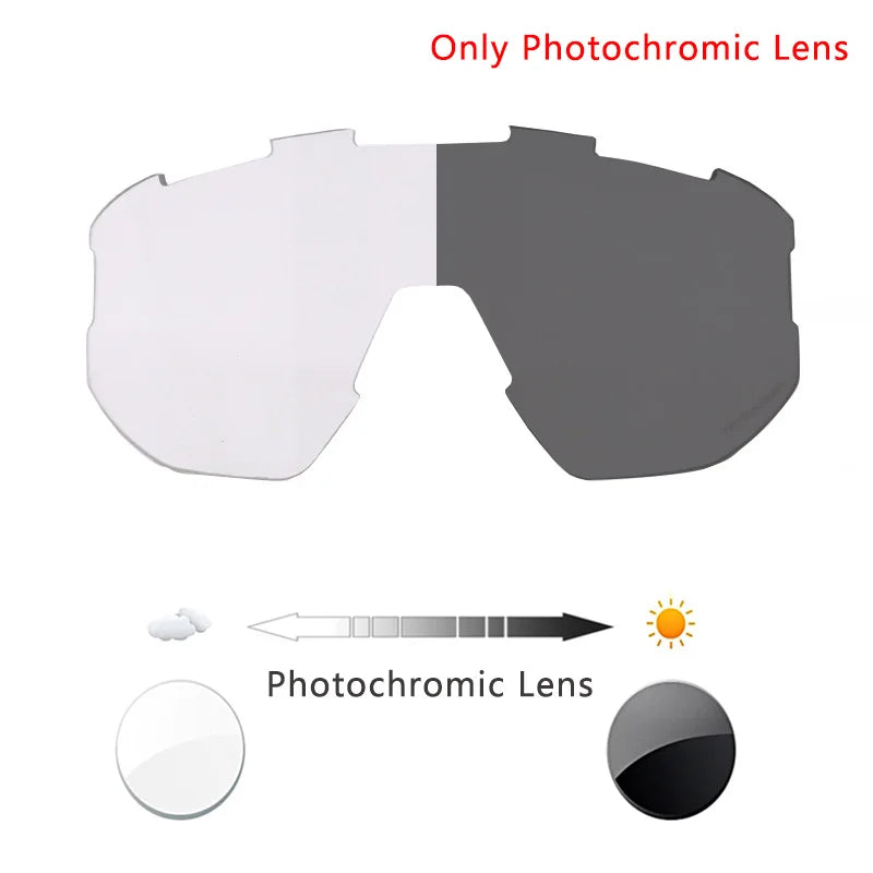 Polarized Photochromic Glasses