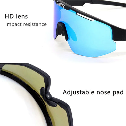 Polarized Photochromic Glasses